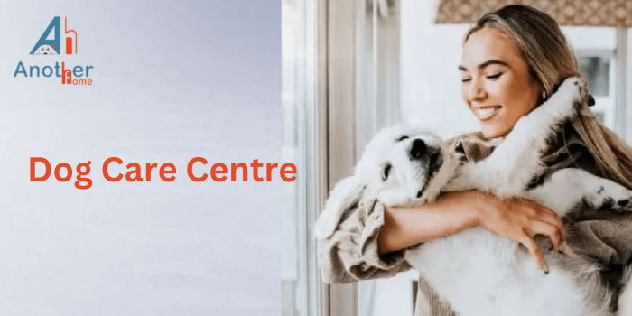 Best Dog Care Center in Gurgaon & Delhi