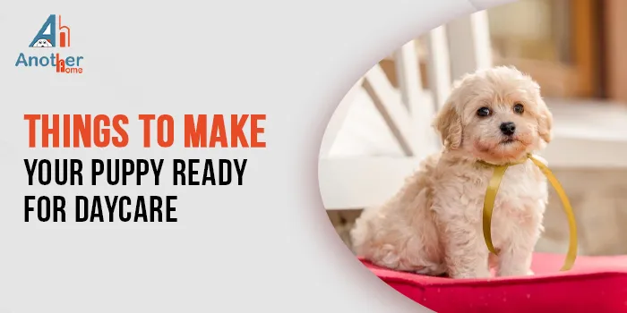 3 Things You Should Do to Make Your Puppy Ready for the Daycare